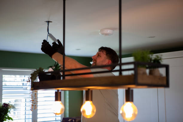 Best Electric Panel Repair  in Buda, TX